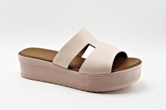 DM190104 - PUDRA
